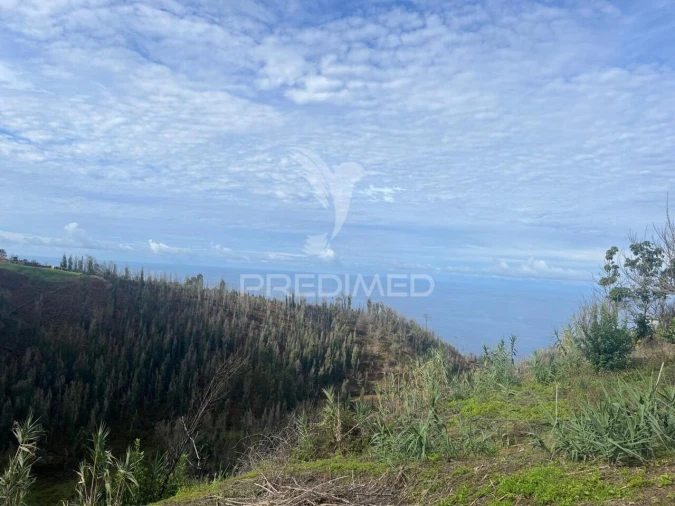 Moradia T3 para Venda em Ponta do Pargo Foto 1