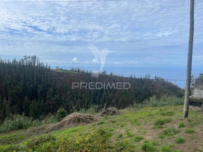 Moradia T3 para Venda em Ponta do Pargo Foto 2