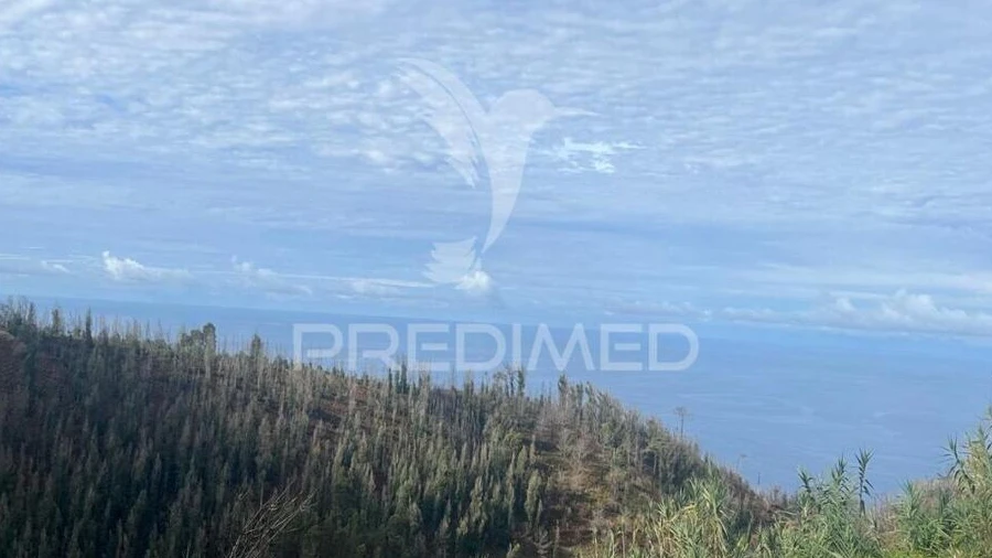 Moradia T3 para Venda em Ponta do Pargo