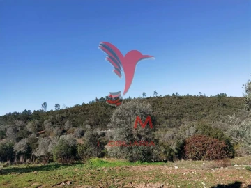 Terreno para Venda em Abrã
