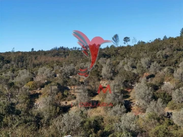 Terreno para Venda em Abrã