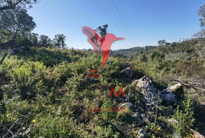 Terreno para Venda em Abrã