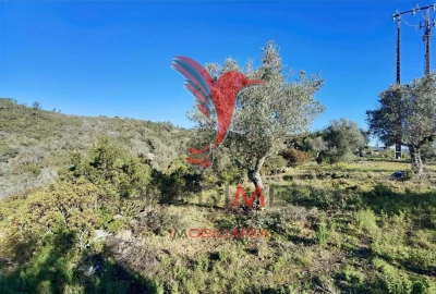Terreno para Venda em Abrã