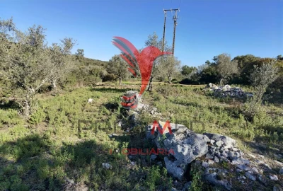 Terreno para Venda em Abrã