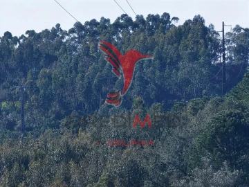 Terreno para Venda em Abrã