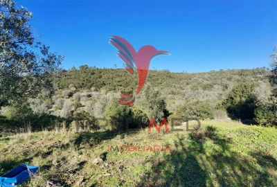 Terreno para Venda em Abrã