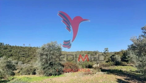 Terreno para Venda em Abrã