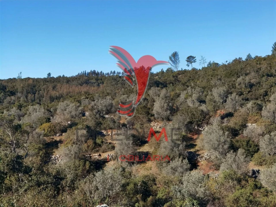 Terreno para Venda em Abrã Foto 26