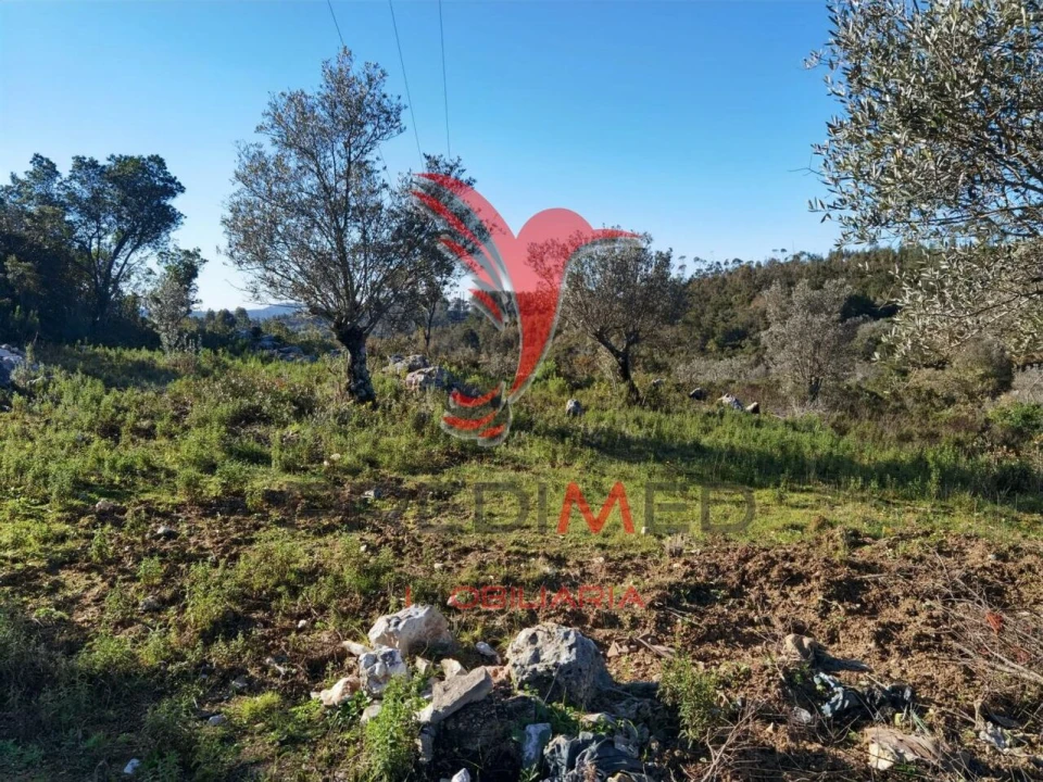 Terreno para Venda em Abrã Foto 16