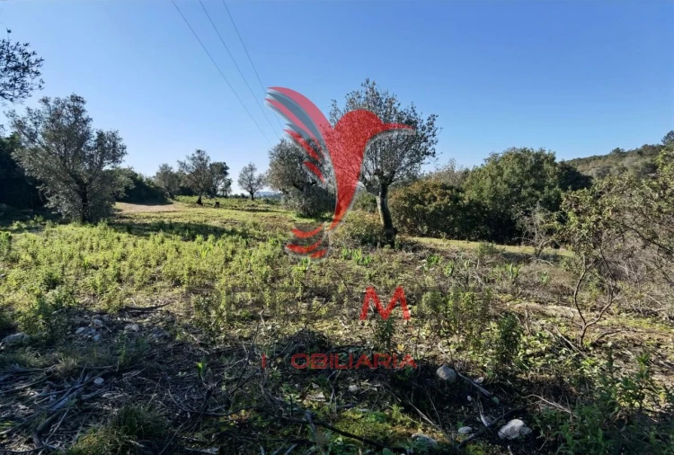 Terreno para Venda em Abrã Foto 29