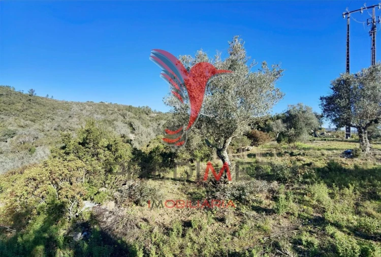 Terreno para Venda em Abrã Foto 19