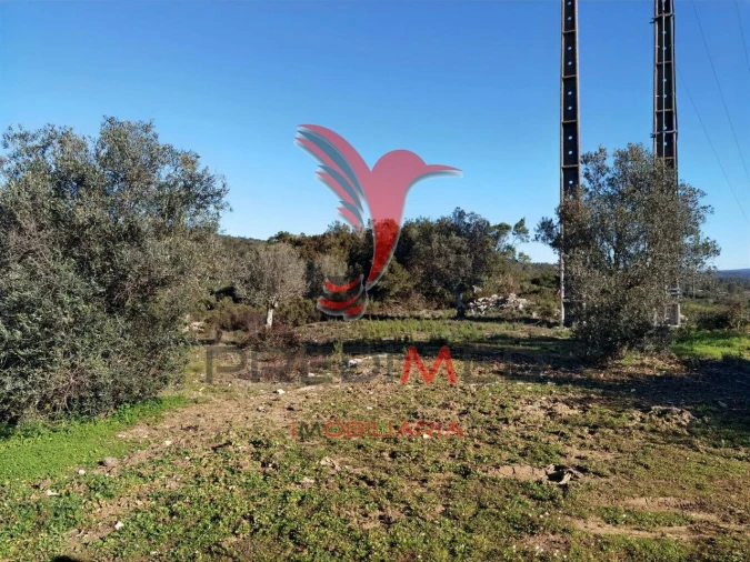Terreno para Venda em Abrã Foto 15