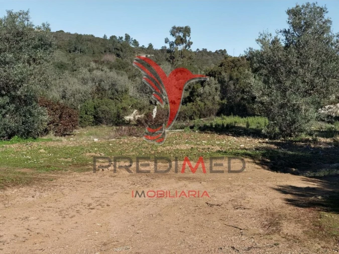 Terreno para Venda em Abrã Foto 27