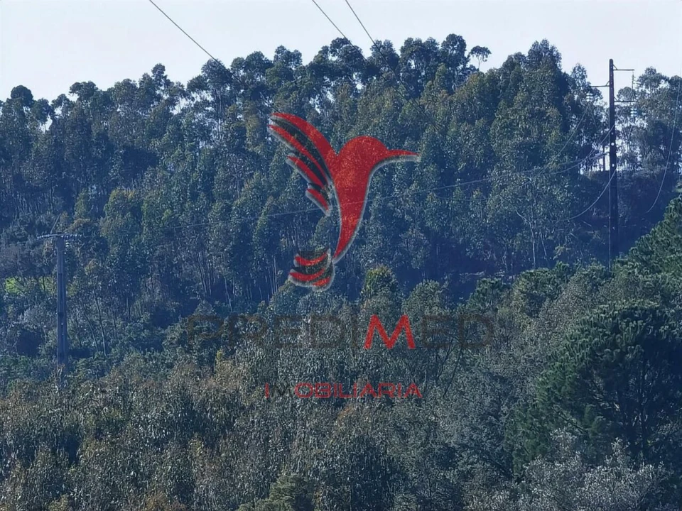 Terreno para Venda em Abrã Foto 28