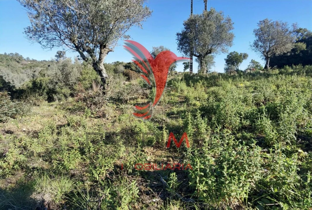 Terreno para Venda em Abrã Foto 21