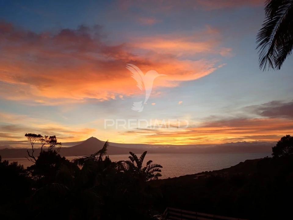 Moradia T4 para Venda em Urzelina (São Mateus) Foto 40