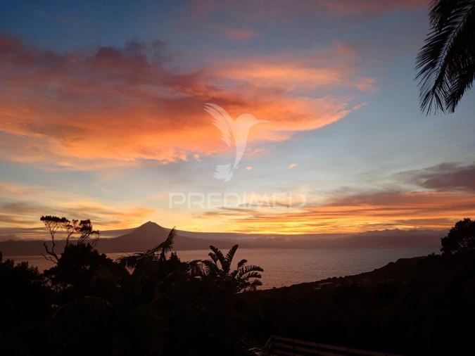 Moradia T4 para Venda em Urzelina (São Mateus) Foto 39