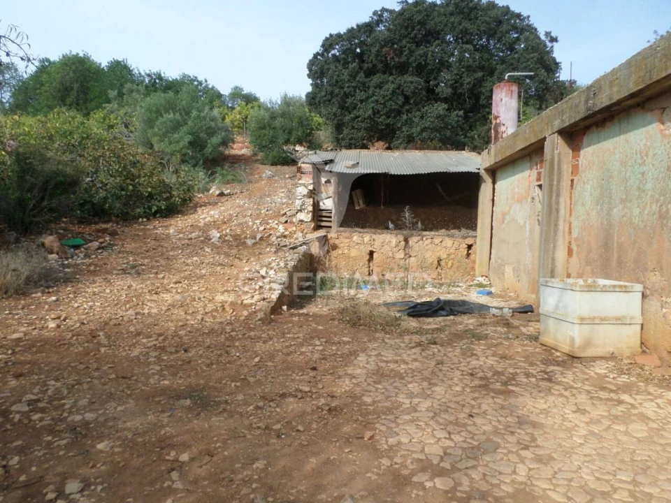 Quinta T0 para Venda em Mexilhoeira Grande Foto 3