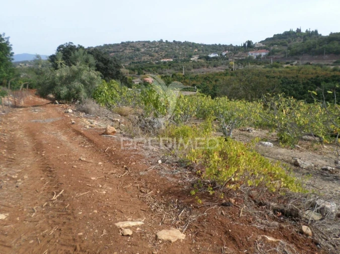 Quinta T0 para Venda em Mexilhoeira Grande Foto 4