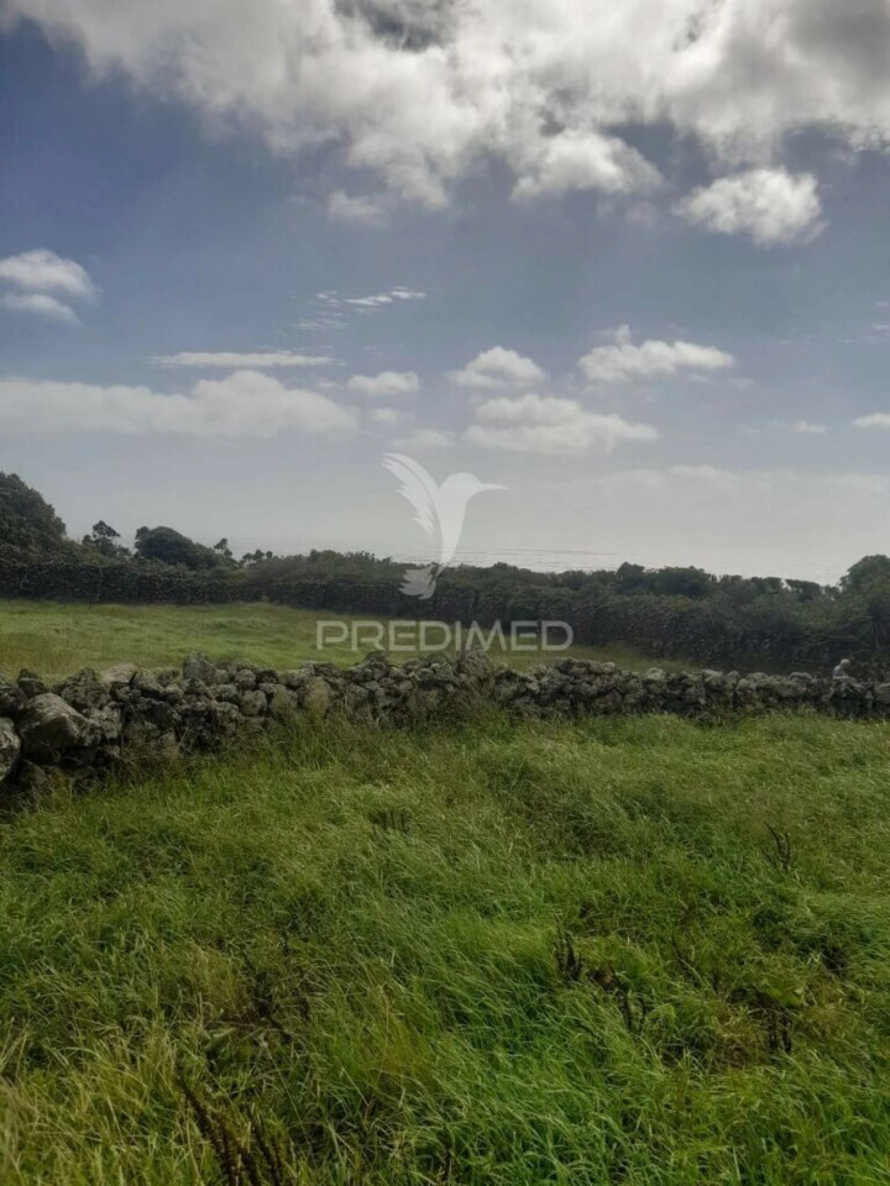 Terreno para Venda em São Bartolomeu de Regatos Foto 5