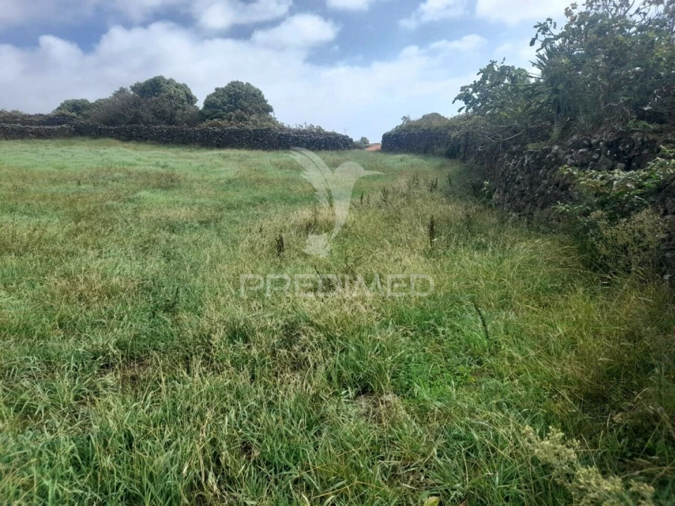Terreno para Venda em São Bartolomeu de Regatos Foto 11