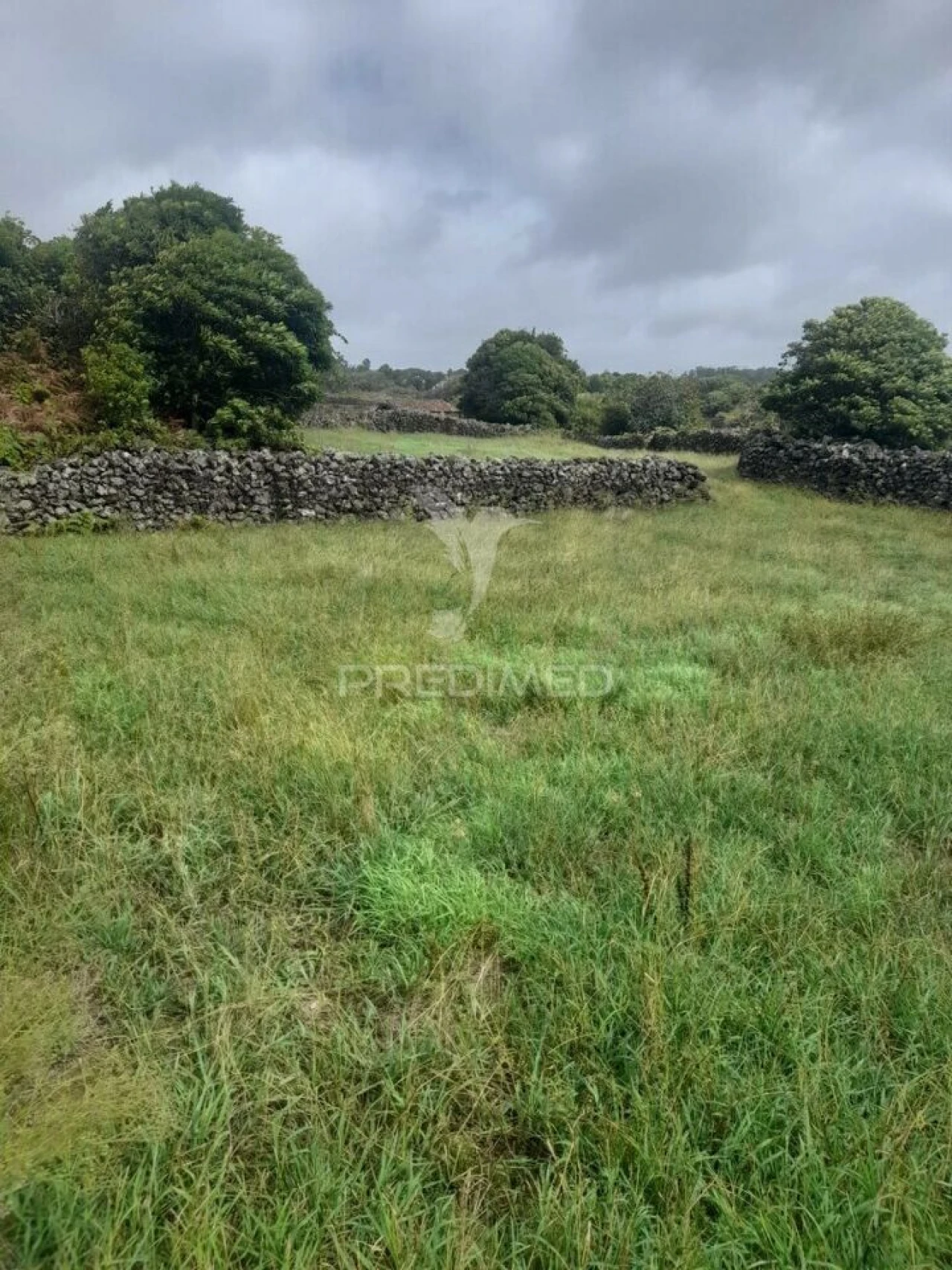 Terreno para Venda em São Bartolomeu de Regatos Foto 8