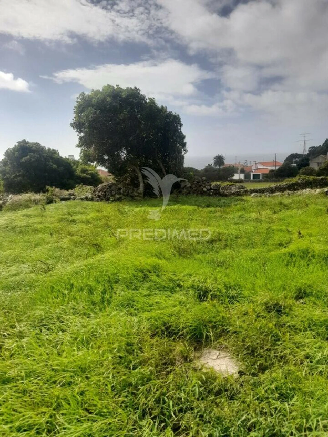 Terreno para Venda em São Bartolomeu de Regatos Foto 13