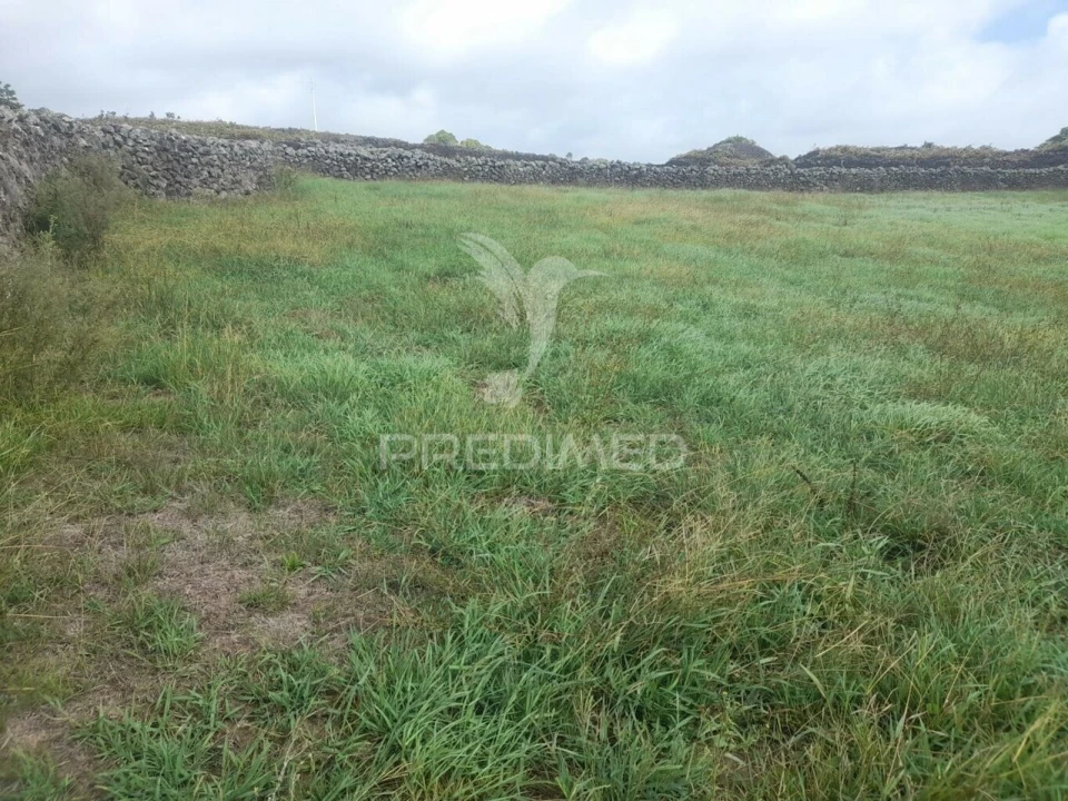 Terreno para Venda em São Bartolomeu de Regatos Foto 9