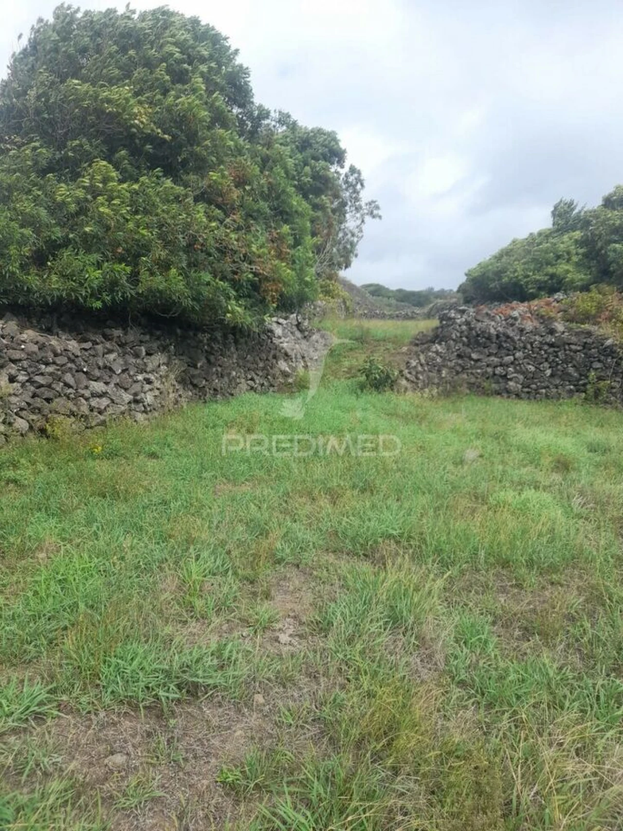 Terreno para Venda em São Bartolomeu de Regatos Foto 14