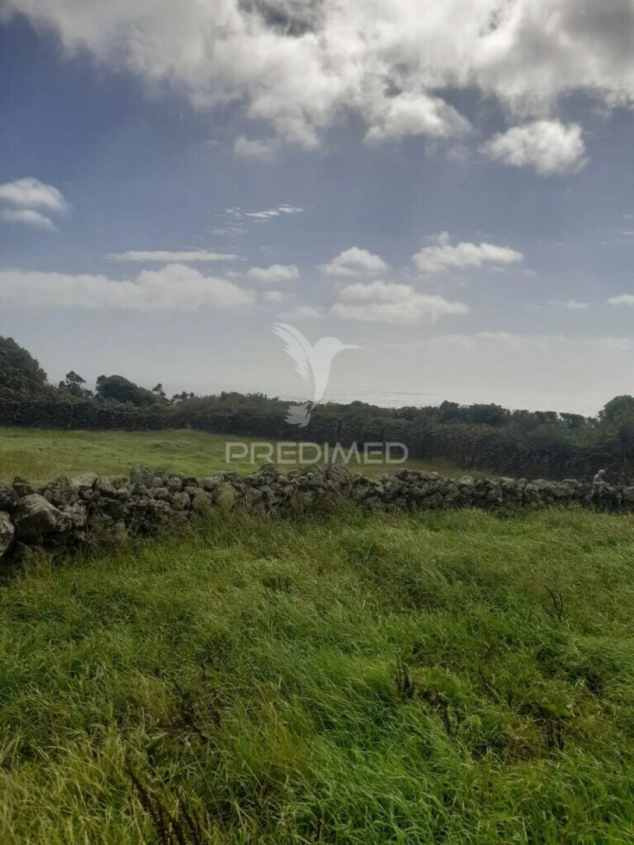 Terreno para Venda em São Bartolomeu de Regatos Foto 5