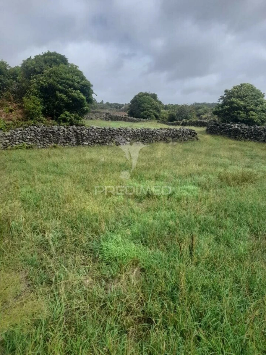Terreno para Venda em São Bartolomeu de Regatos Foto 8