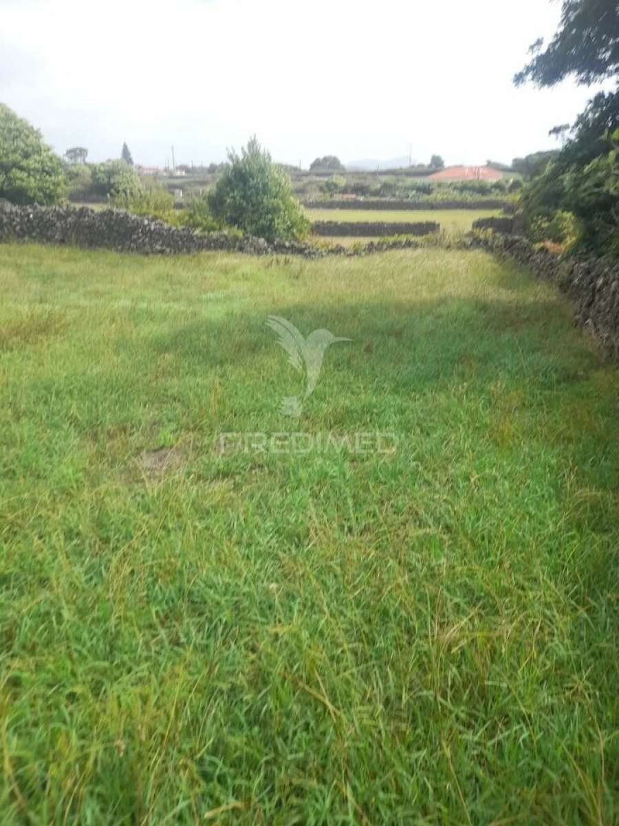 Terreno para Venda em São Bartolomeu de Regatos Foto 7