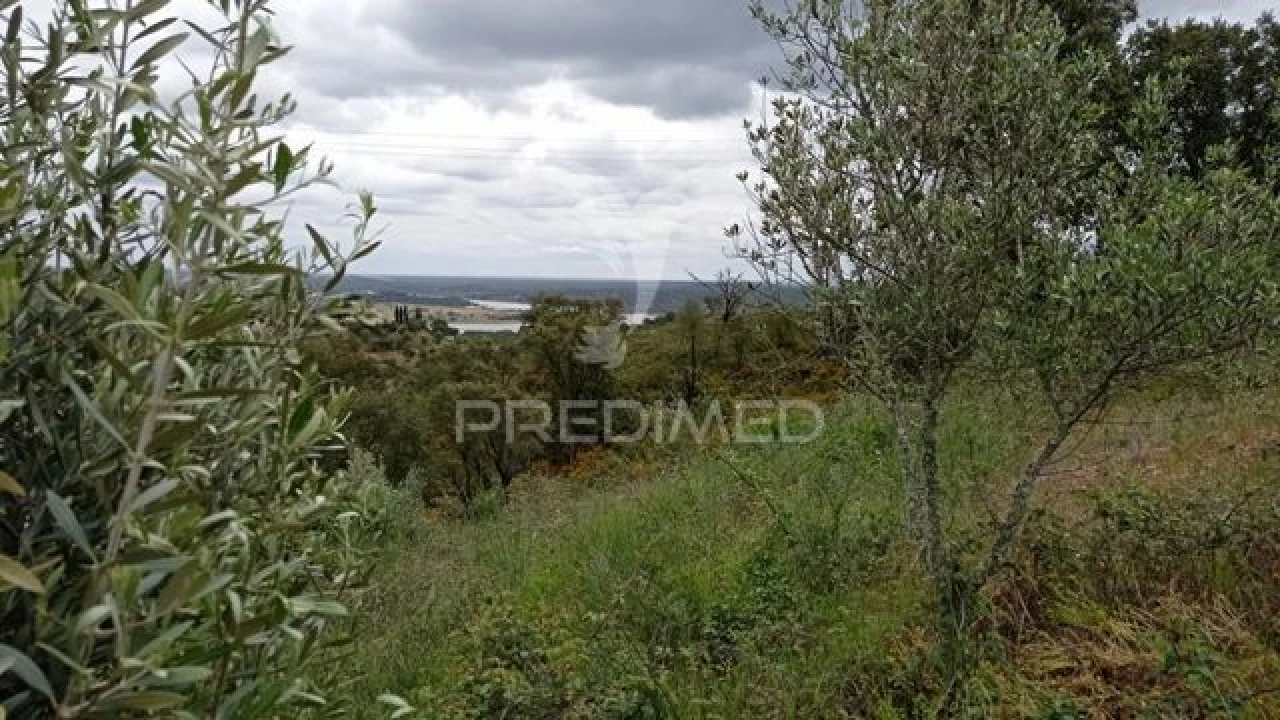 Quinta T2 para Venda em Montargil Foto 17