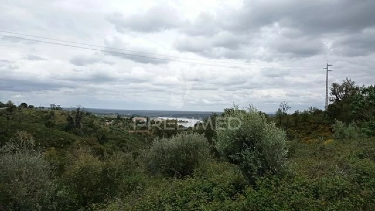 Quinta T2 para Venda em Montargil Foto 5