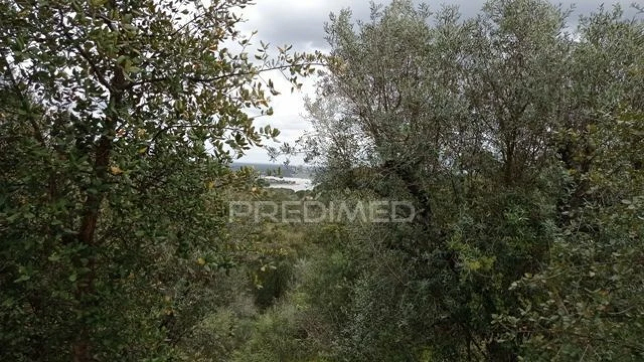 Quinta T2 para Venda em Montargil Foto 14