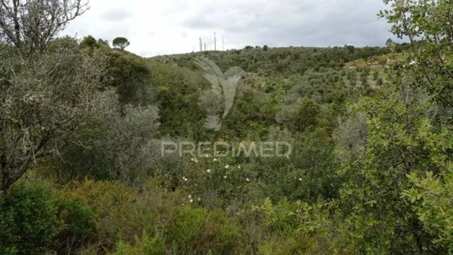 Quinta T2 para Venda em Montargil Foto 7