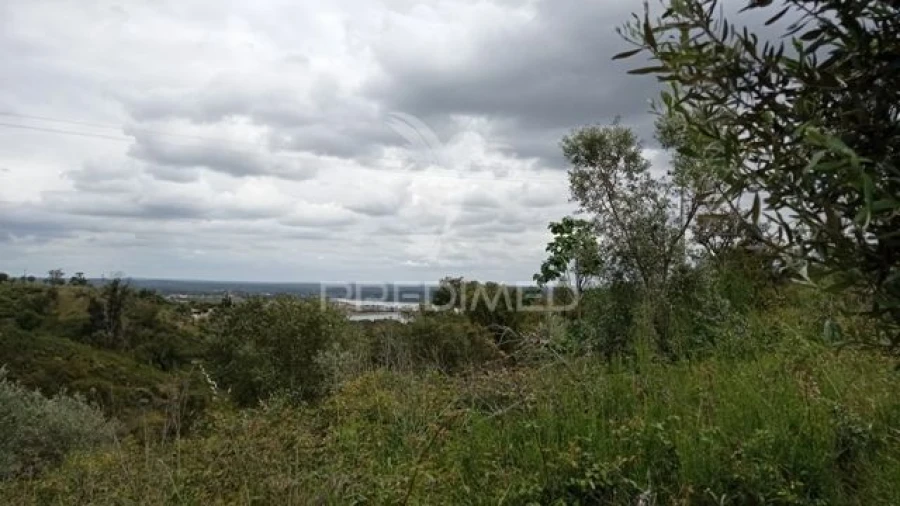 Quinta T2 para Venda em Montargil Foto 12