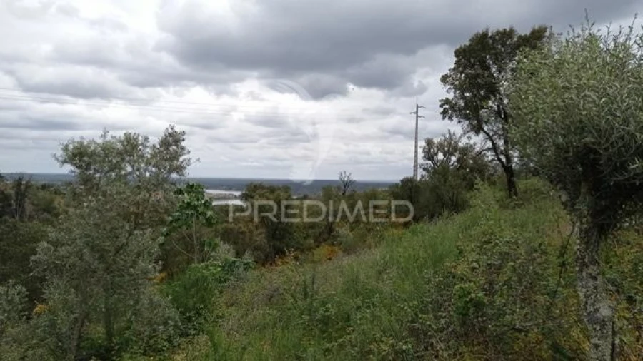 Quinta T2 para Venda em Montargil Foto 18