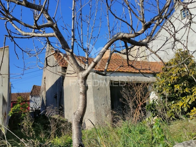 Armazém para Venda em Monsanto Foto 7