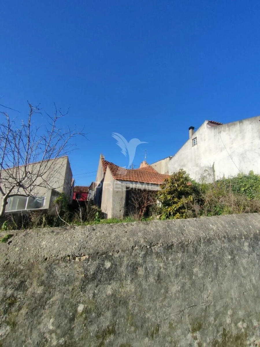 Armazém para Venda em Monsanto Foto 9