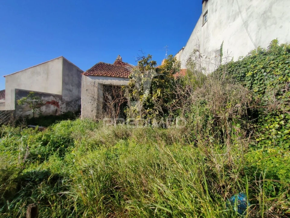 Armazém para Venda em Monsanto Foto 10