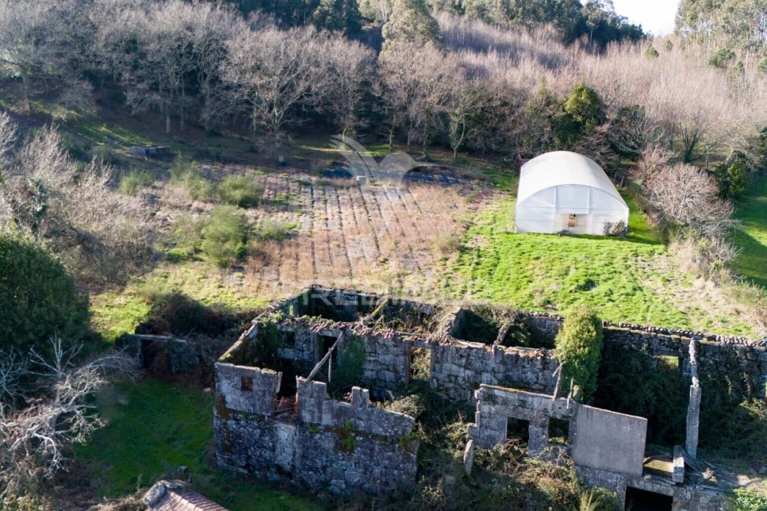 Quinta T3 para Venda em Serzedelo Foto 12