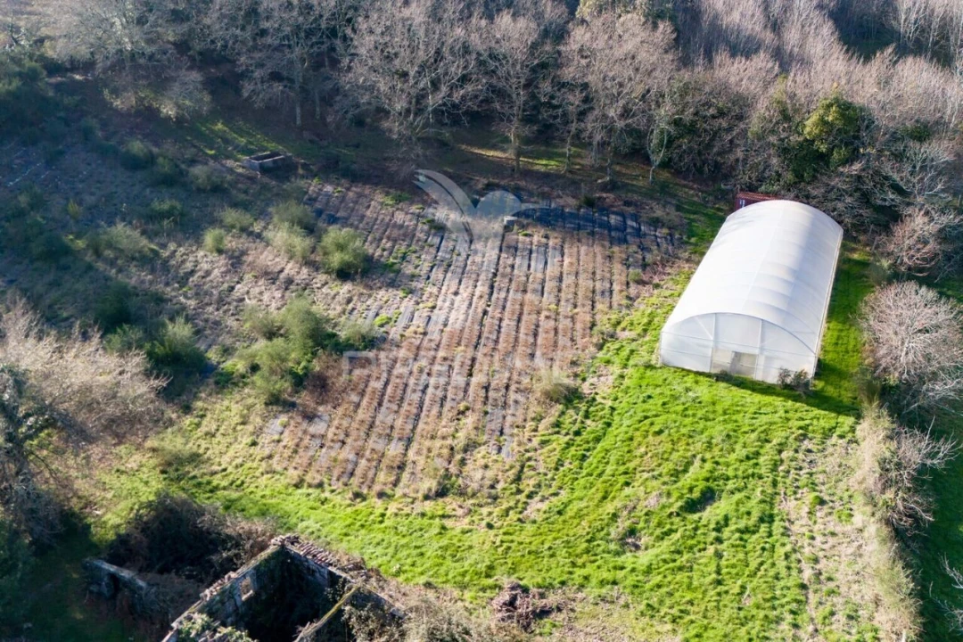 Quinta T3 para Venda em Serzedelo Foto 14