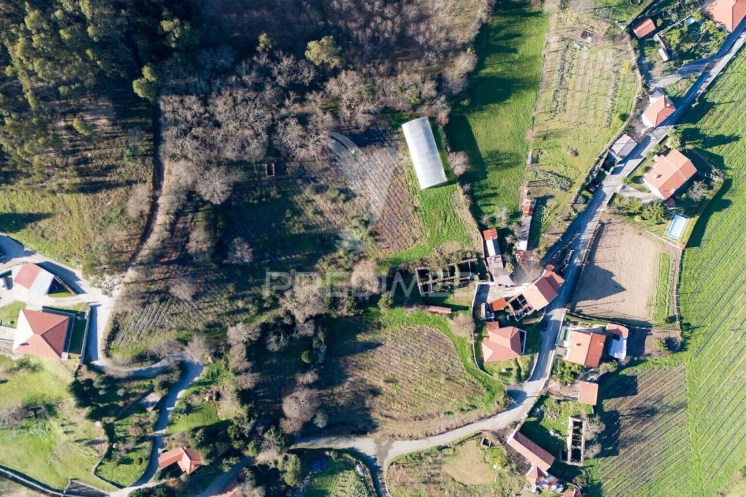 Quinta T3 para Venda em Serzedelo Foto 2