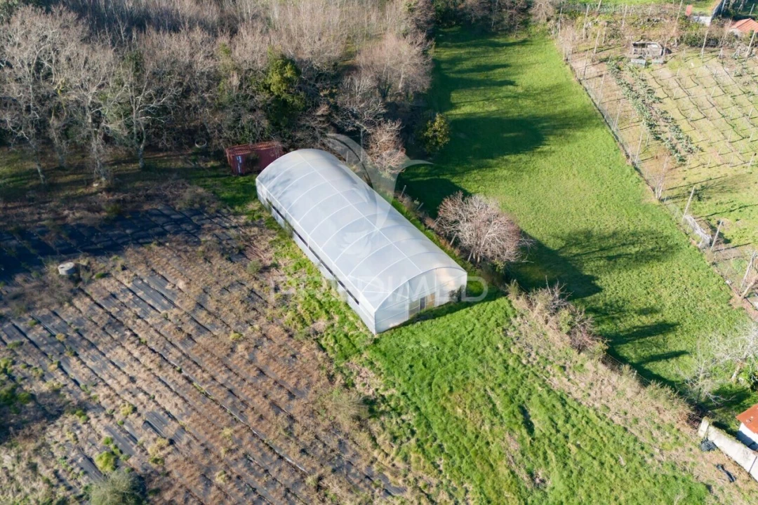 Quinta T3 para Venda em Serzedelo Foto 1