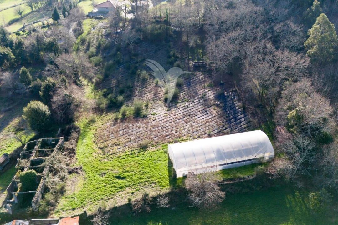 Quinta T3 para Venda em Serzedelo Foto 15