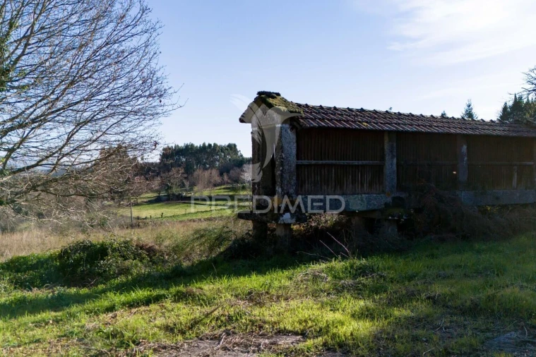 Quinta T3 para Venda em Serzedelo Foto 23