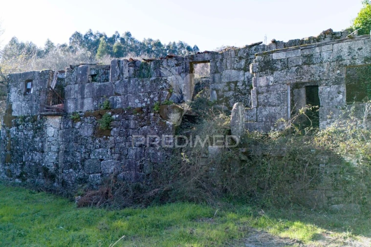Quinta T3 para Venda em Serzedelo Foto 21