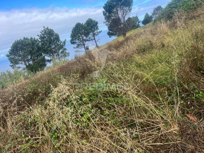 Moradia T3 para Venda em Prazeres Foto 3