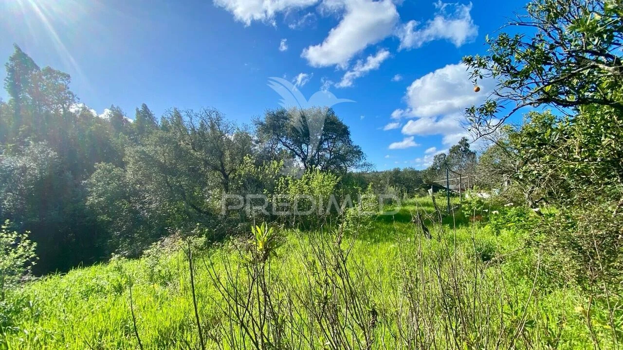 Moradia T2 para Venda em Rio Maior Foto 5